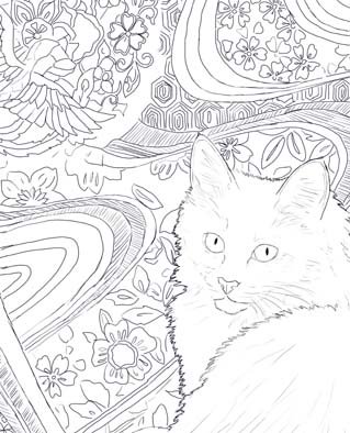 turkish angora drawing