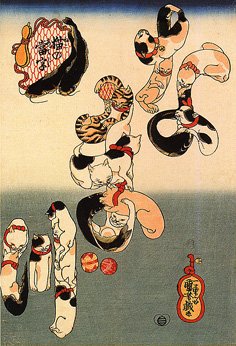 Utagawa Japanese bobtail